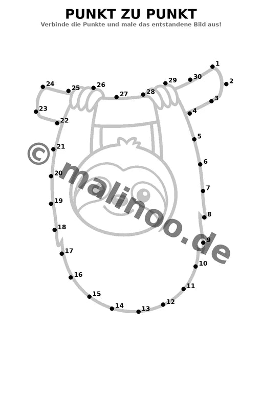 Faultiere – Bild 15