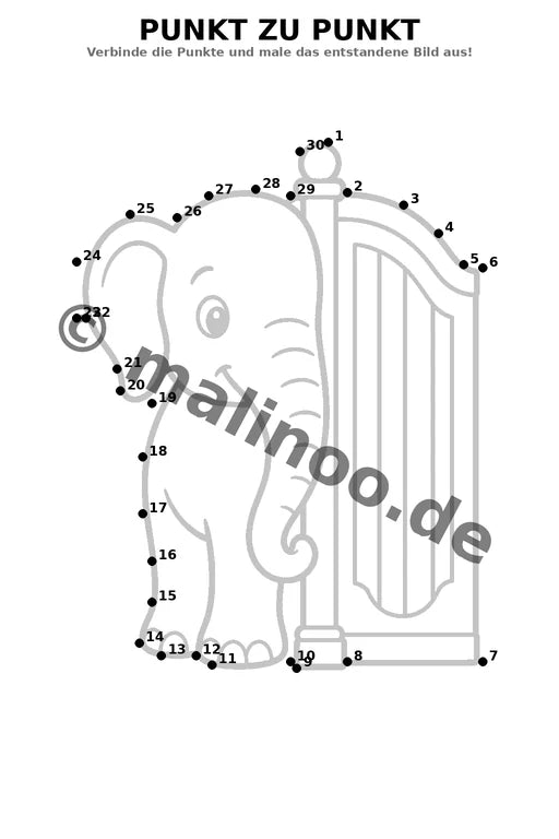 Elefanten – Bild 15