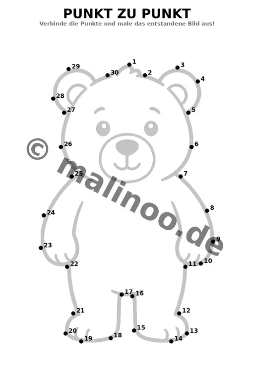 Bären – Bild 15