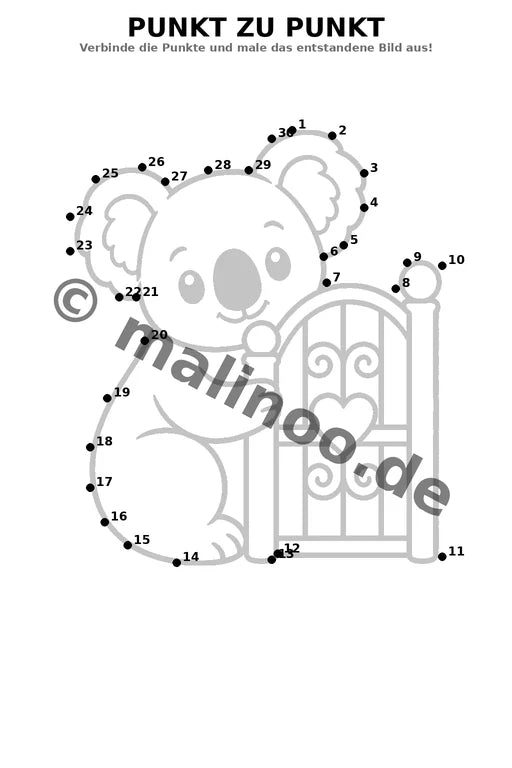 Koala's – Bild 15