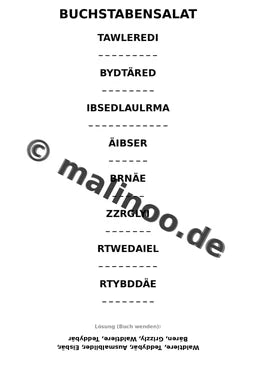 Bären – Bild 15