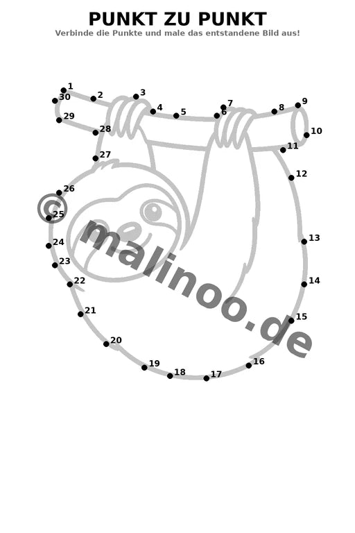 Faultiere – Bild 15