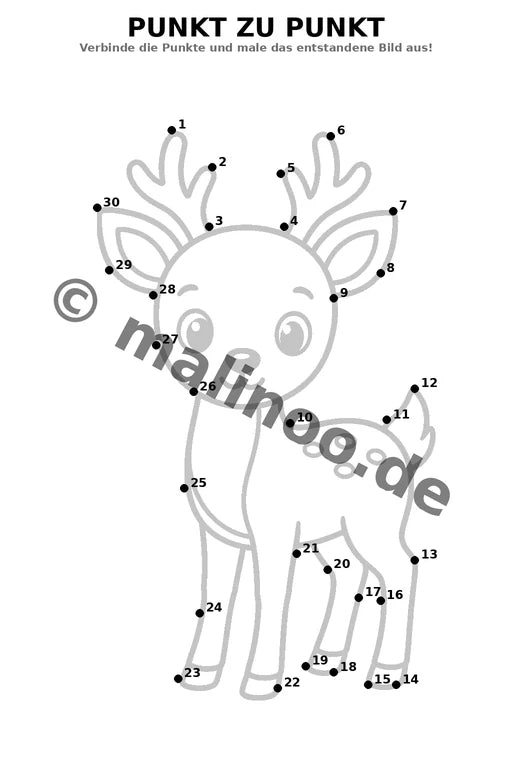 Waldtiere – Bild 15