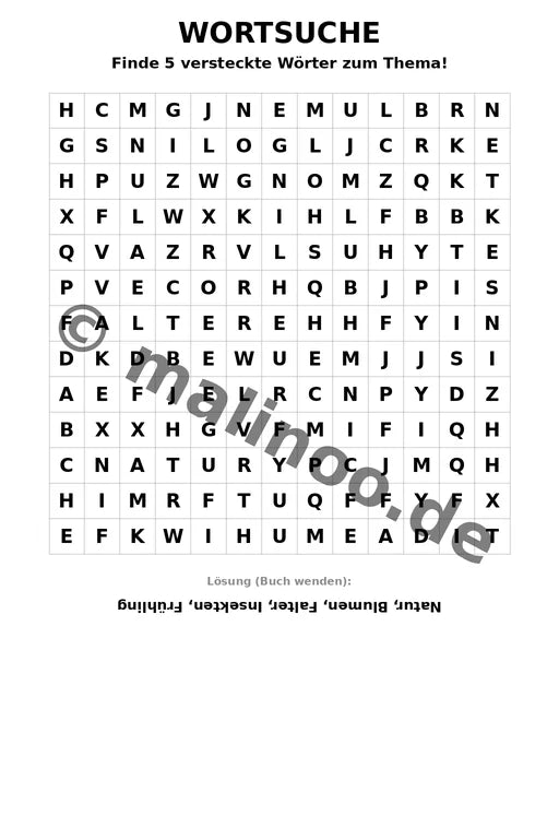 Schmetterlinge – Bild 15