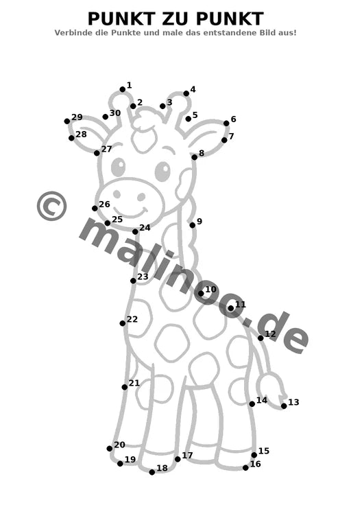 Giraffen – Bild 15