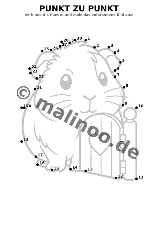 Meerschweinchen – Bild 15