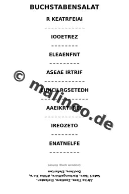 Elefanten – Bild 15