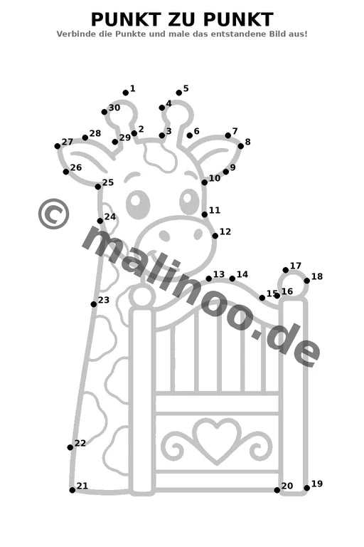 Giraffen – Bild 15