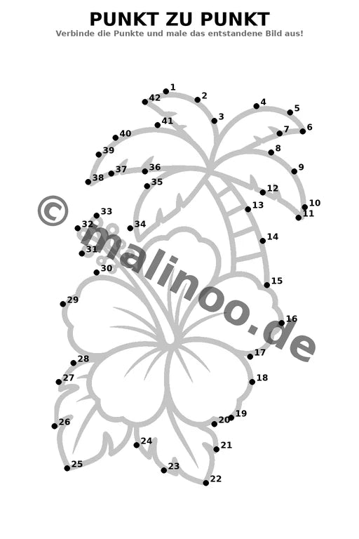 Blumen – Bild 16