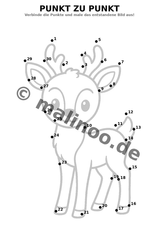 Waldtiere – Bild 16