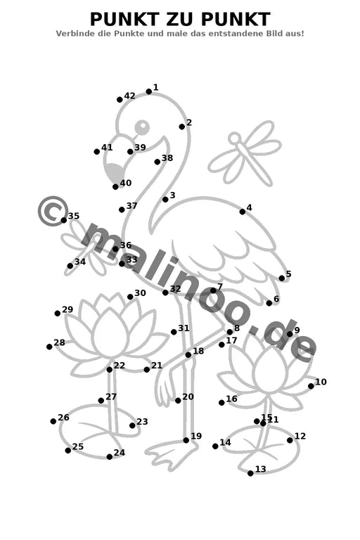 Flamingos – Bild 16