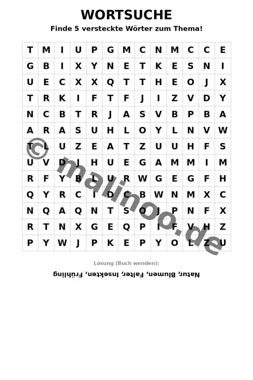 Schmetterlinge – Bild 16