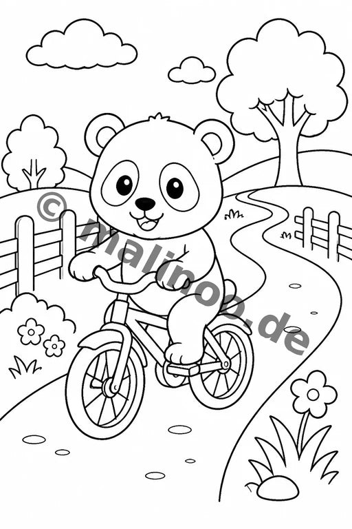 Panda's – Bild 16