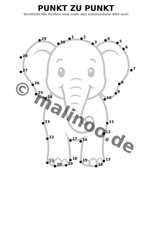 Elefanten – Bild 16