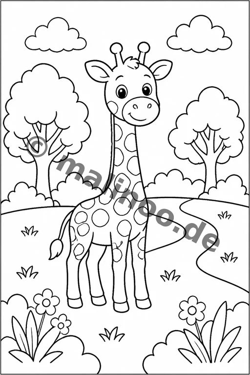 Giraffen – Bild 16