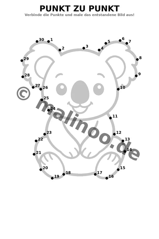 Koala's – Bild 16