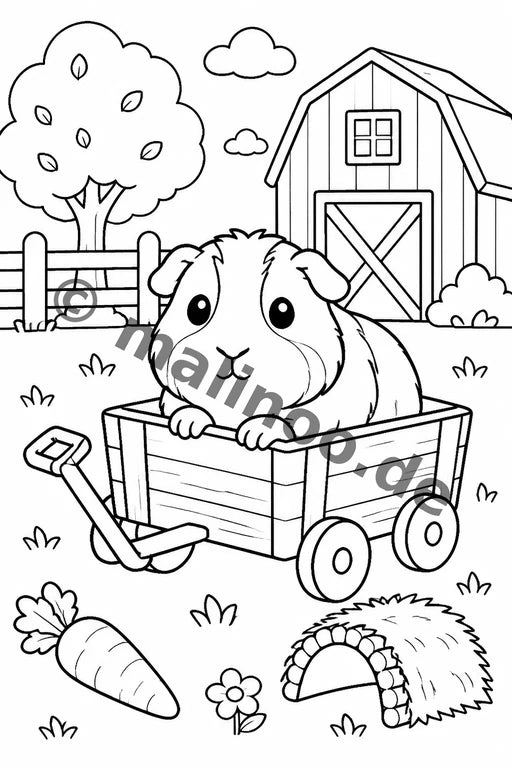 Meerschweinchen – Bild 16