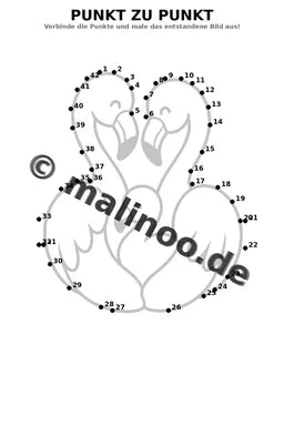 Flamingo – Bild 16