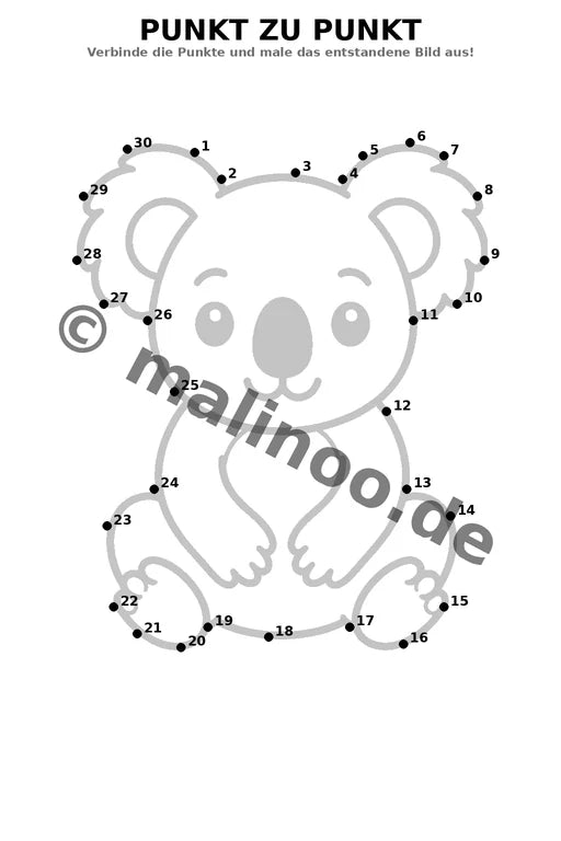 Koala's – Bild 16