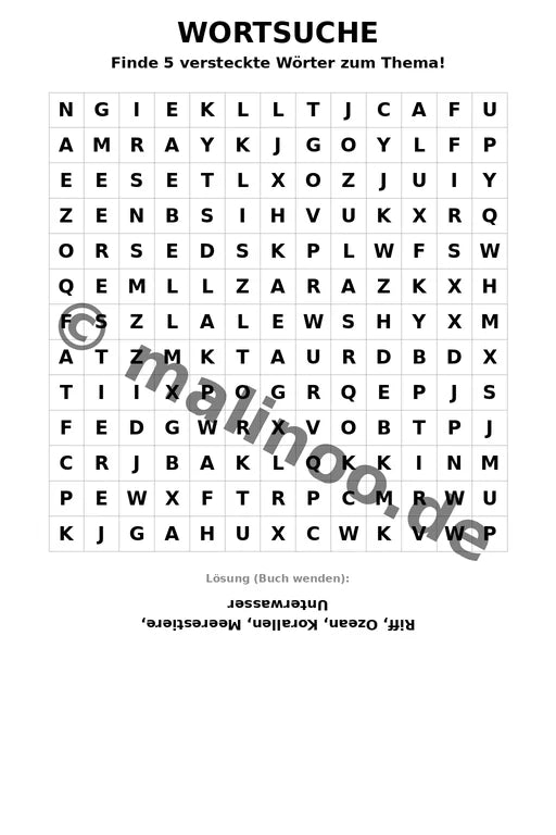 Korallenriffe – Bild 16