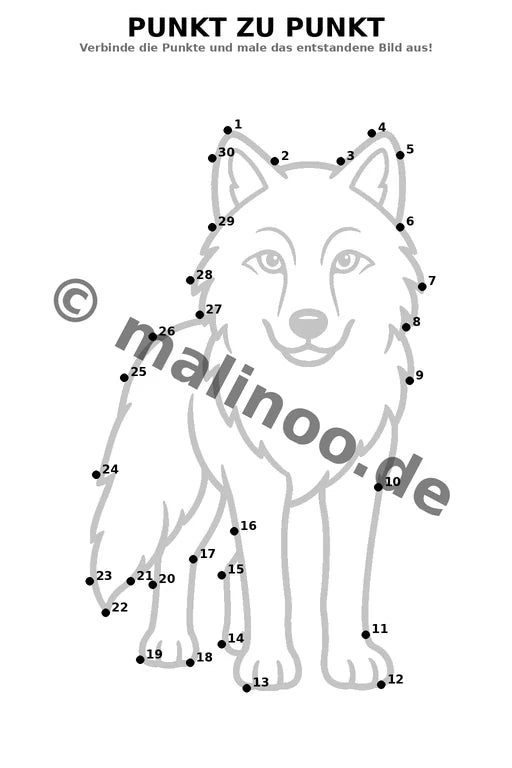 Wölfe – Bild 16