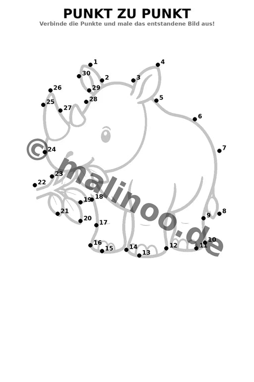 Nashörner – Bild 16