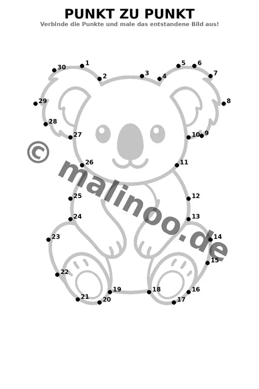 Koala's – Bild 16