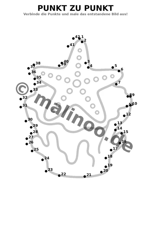 Korallenriffe – Bild 16