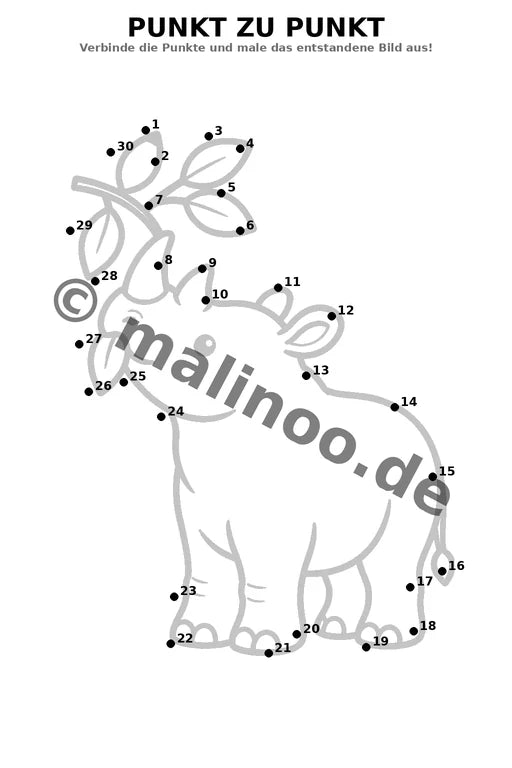 Nashörner – Bild 16