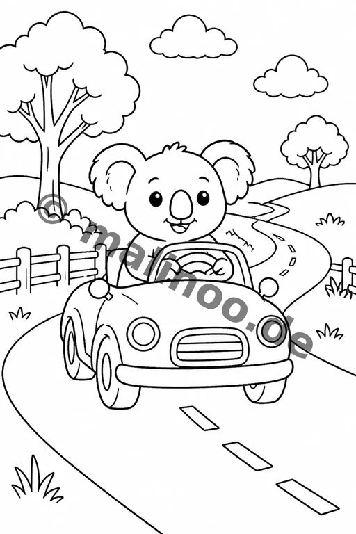 Koala's – Bild 16
