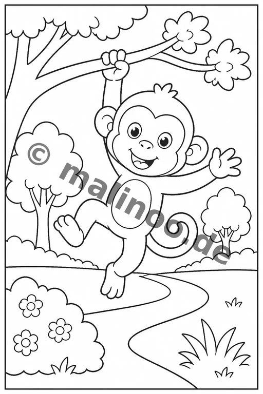 Esel – Bild 16