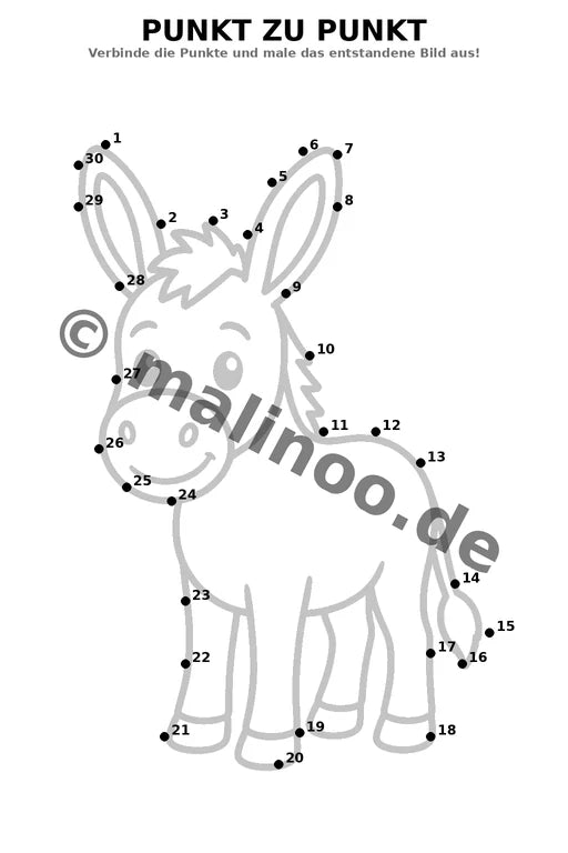 Esel – Bild 16