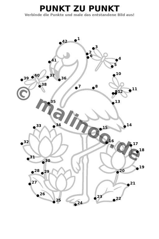 Flamingos – Bild 16