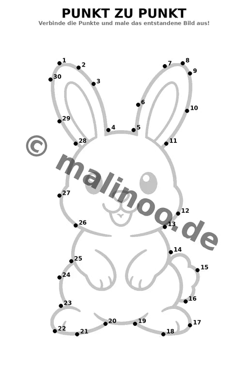 Hasen – Bild 16