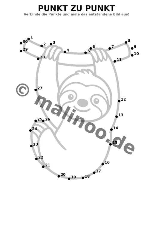 Faultiere – Bild 16