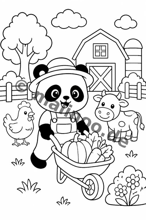 Panda's – Bild 17