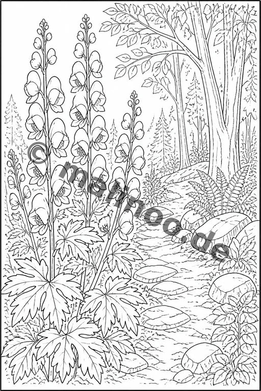 Blumen – Bild 17