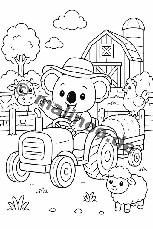 Koala's – Bild 17