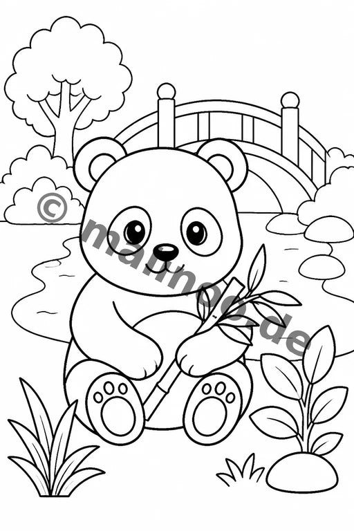 Panda's – Bild 17