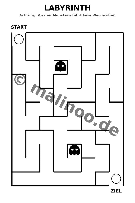 Meerschweinchen – Bild 18