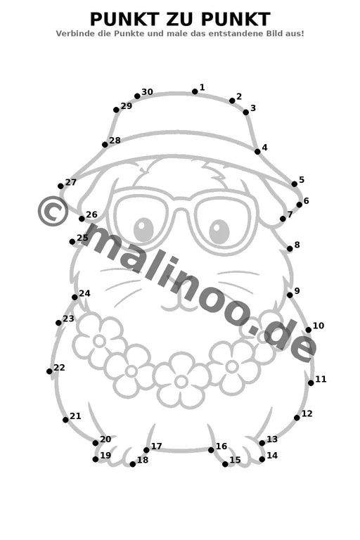 Meerschweinchen – Bild 18