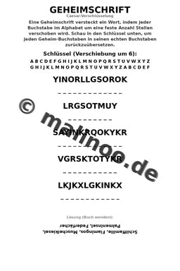 Flamingo – Bild 18