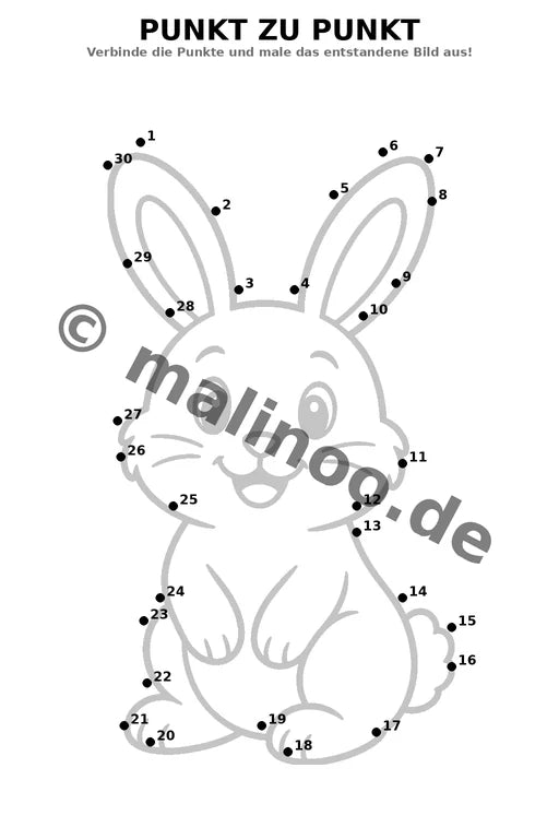 Hasen – Bild 19