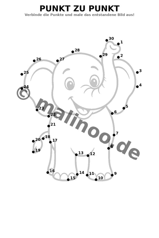 Elefanten – Bild 19