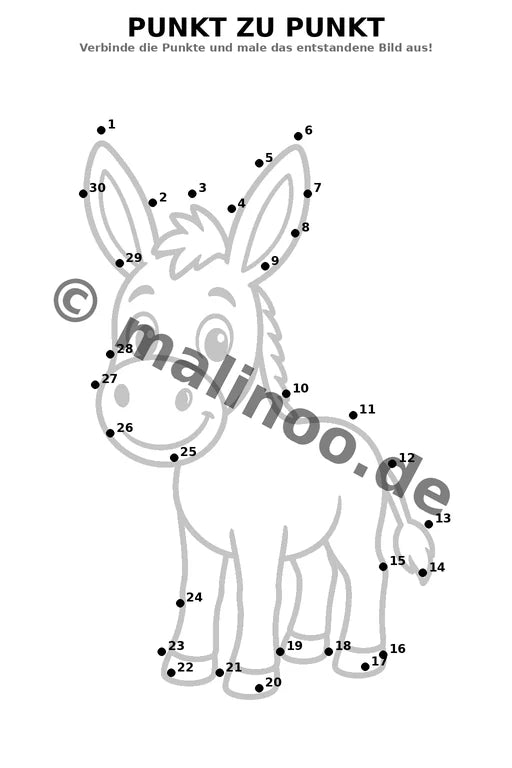 Esel – Bild 19
