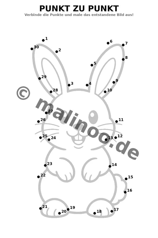 Hasen – Bild 19
