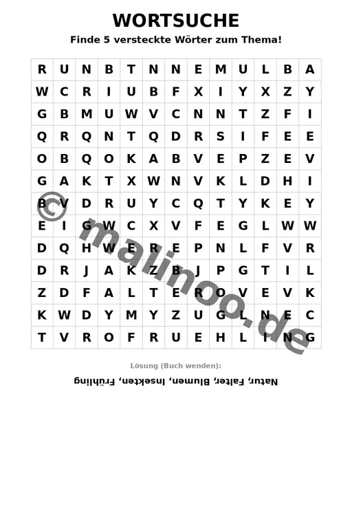 Schmetterlinge – Bild 19