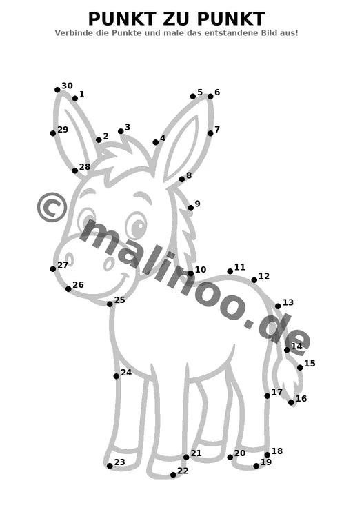Esel – Bild 19