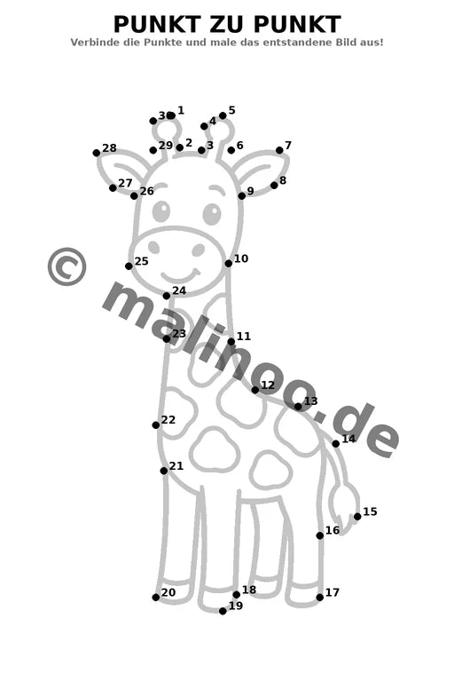 Giraffen – Bild 19