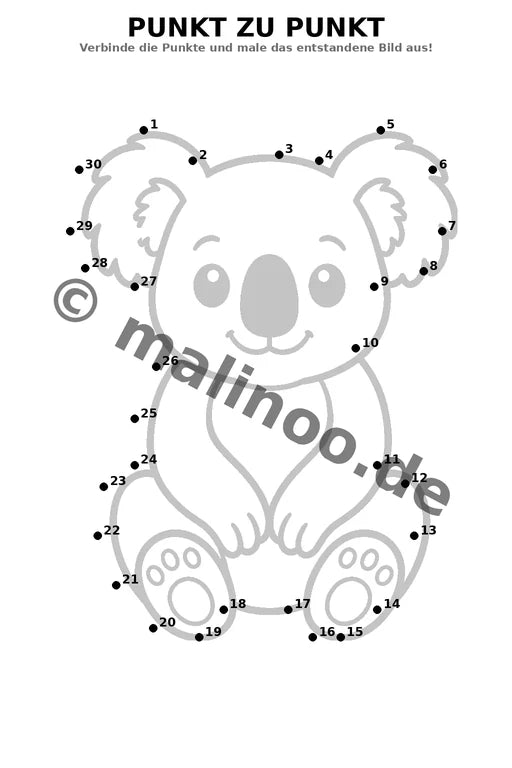 Koala's – Bild 19